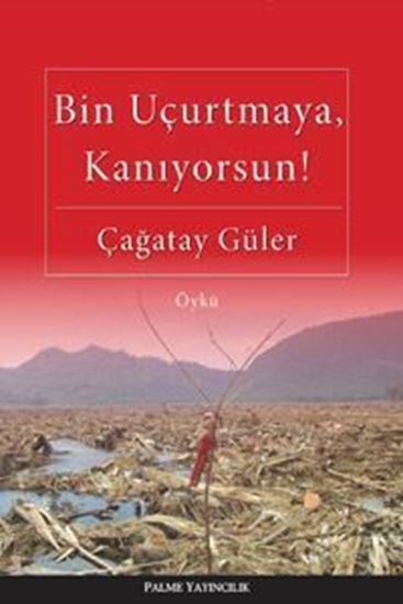 resm Bin Uçurtmaya Kanıyorsun !