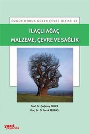 resm İlaçlı Ağaç Malzeme, Çevre ve Sağlık