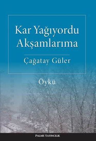 resm Kar Yağıyordu Akşamlarıma