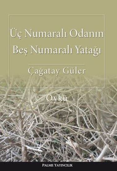 resm Üç Numaralı Odanın Beş Numaralı Yatağı