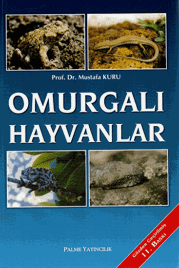resm OMURGALI HAYVANLAR