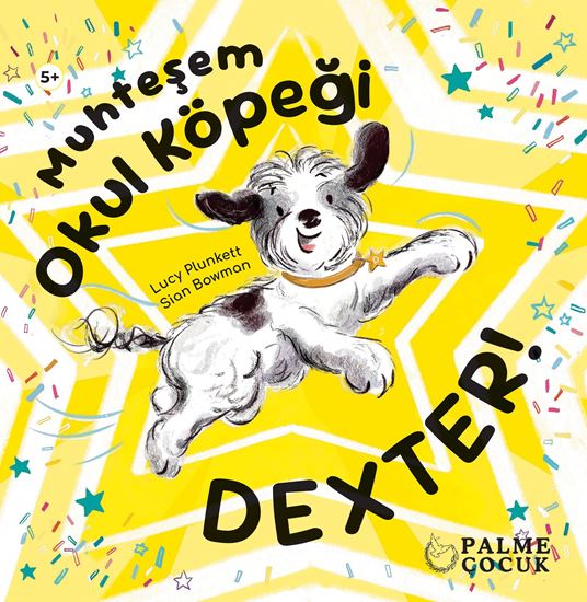 resm MUHTEŞEM OKUL KÖPEĞİ DEXTER
